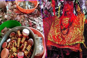 पाथीभरामा पर्यटकको आकर्षण बढ्दै, भेटी थपिँदै