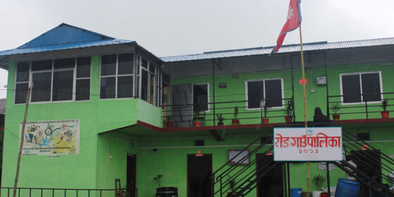 किसानलाई प्रतिस्पर्धी बनाउन ‘गुरु किसान’ छनोट गर्दै इलामको रोङ गाउँपालिका