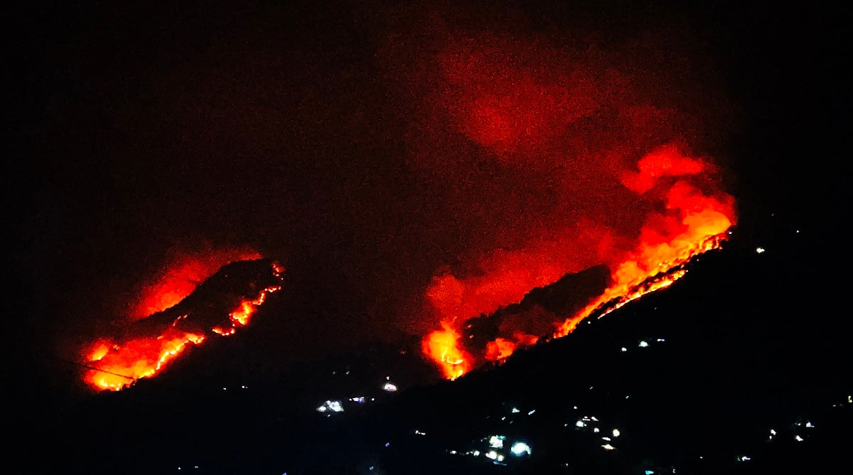 बागलुङमा जङ्गलभरि आगलागी, बासस्थान खोज्दै वन्यजन्तु झरे गाउँ