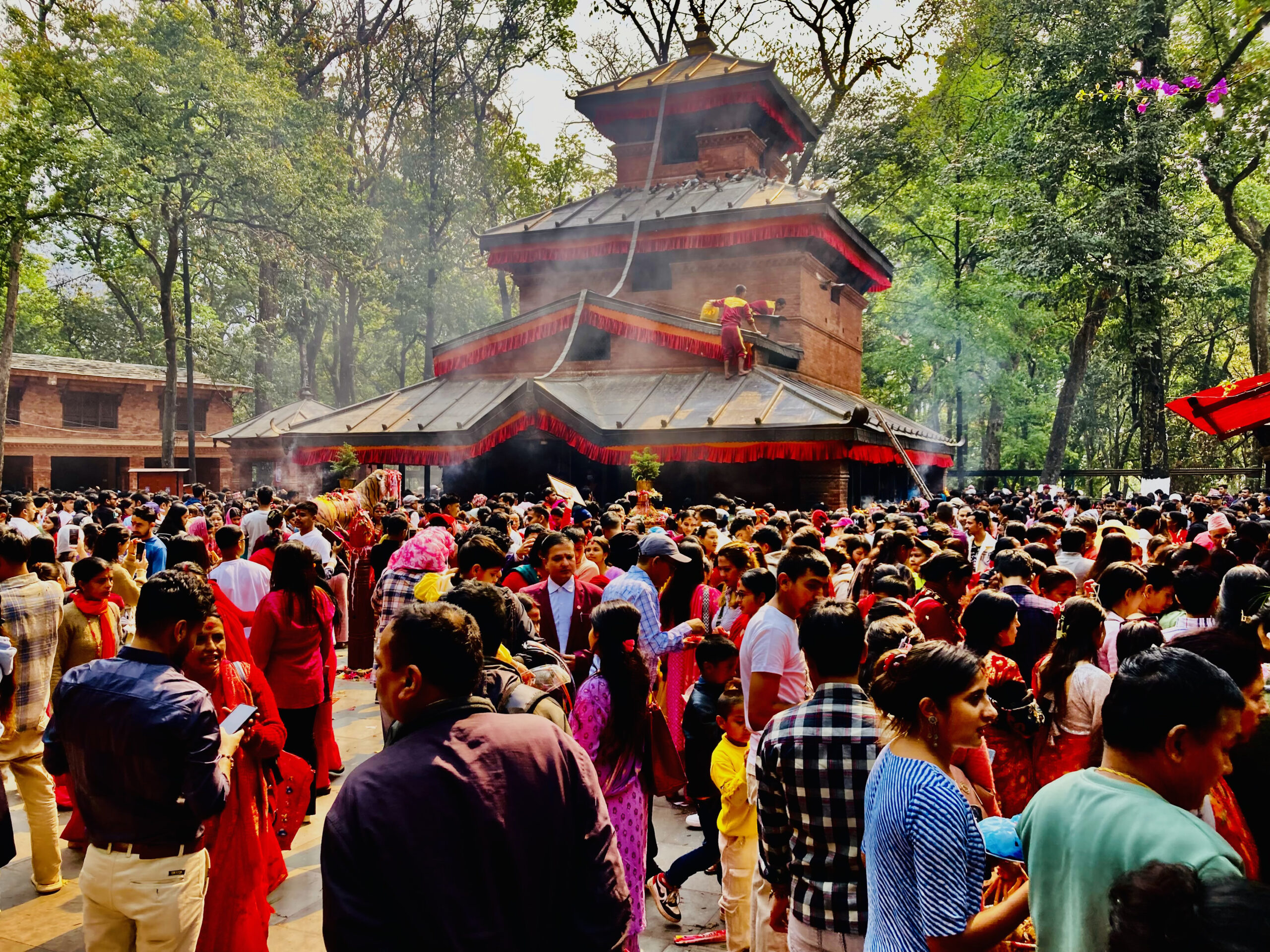 चैते दसैँमा कालिका भगवती मन्दिरमा ४२ लाख भेटी सङ्कलन