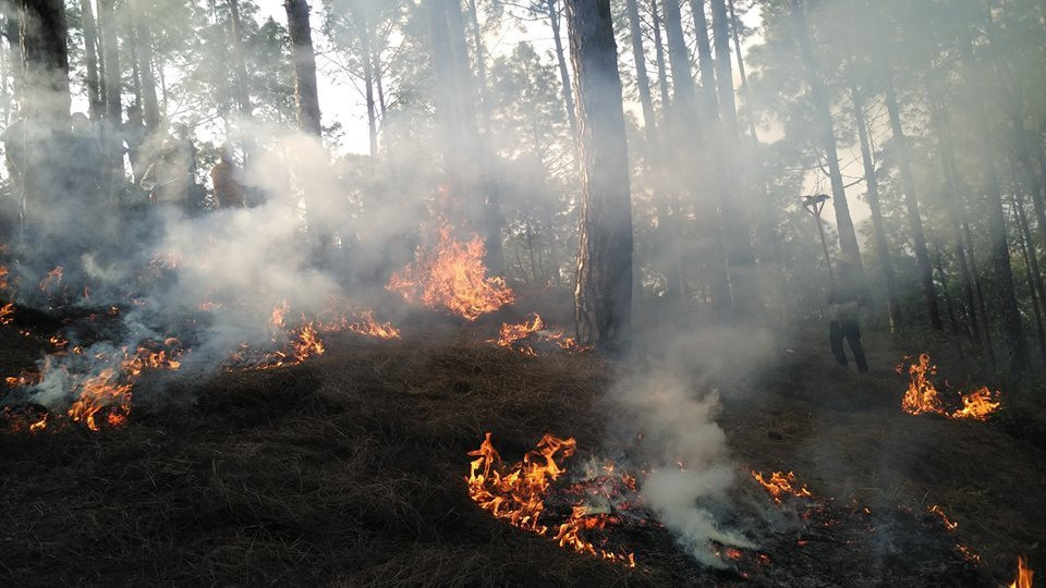 डोल्पामा आगो निभाउने क्रममा चार सैनिक घाइते, हेलिकप्टरबाट उद्धार