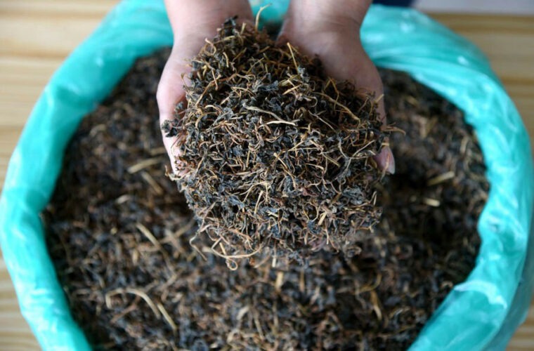 हेटौँडाको गुन्द्रुकलाई सरकारी गुणस्तरको मान्यता