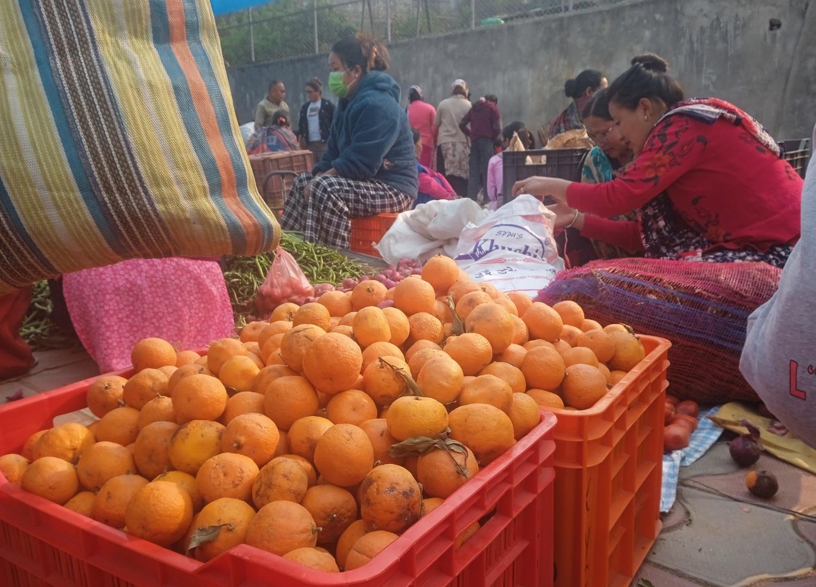 दुई महिनामै सुन्तलाले पायो तीन गुणा बढी मूल्य