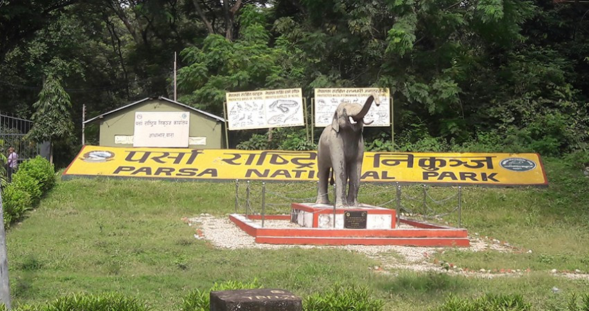 पर्सा राष्ट्रिय निकुञ्जमा आउने पर्यटकको सङ्ख्या बढ्दै