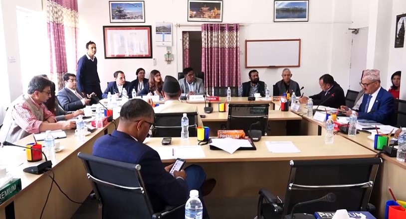 निगमको न्यारोबडी जहाजको इन्जिनमा आइरहने समस्याबारे संसदीय समितिको चासो