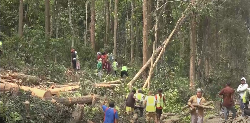 पूर्व–पश्चिम राजमार्ग विस्तार गर्न ६ हजार रुख काटिने