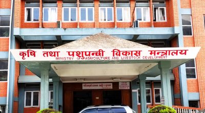 रासायनिक मल सहज रूपमा उपलब्ध गराउन कृषि मन्त्रालय क्रियाशील