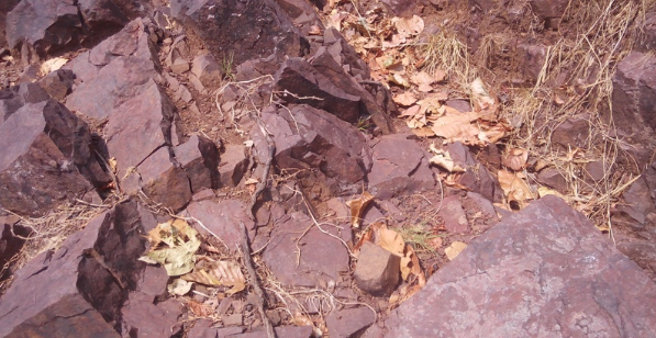 बागलुङको सय वर्ष पुरानो तामाखानी अध्ययन अनुमतिपछि स्थानीय उत्साहित