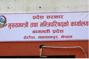 प्रदेश सरकारद्वारा संरचनाको पुनर्निर्माण र संरचनागत सुधारका लागि समिति गठन
