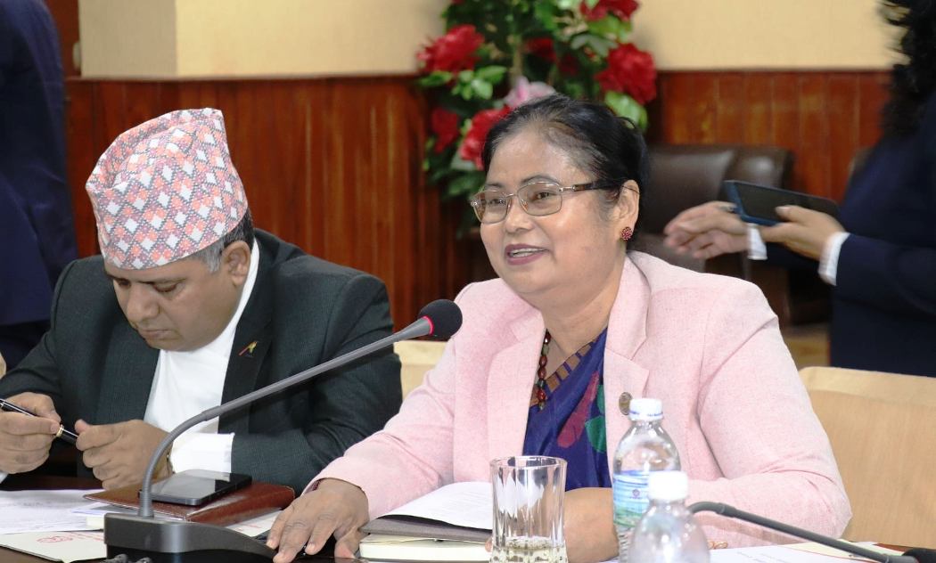 बेइजिङ कार्य मञ्च प्रतिवेदनबारे विज्ञ समूहसँग छलफल