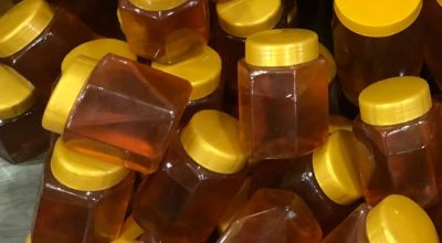 कास्कीको रुपा गाउँपालिकामा एक लाख लिटर मह उत्पादन