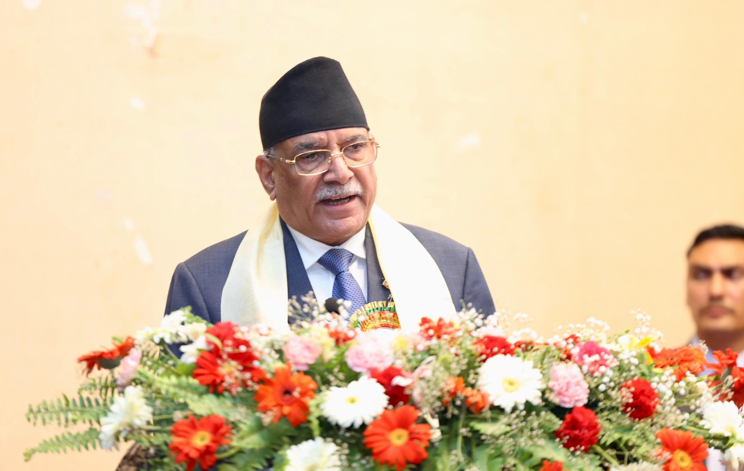 नर्सहरूको सुविधामा एकरूपता ल्याउन सरकारले पहल गर्न प्रधानमन्त्रीको आश्वासन