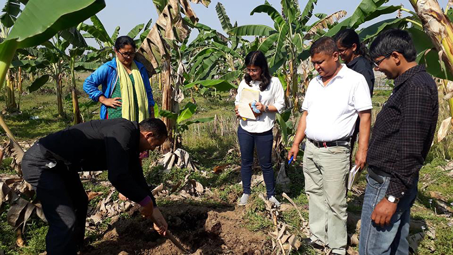 केरामा देखिएको रोग नियन्त्रण गर्न कैलालीका किसानको माग