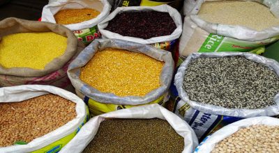 आज  ४५ औँ  विश्व खाद्य दिवस मनाइँदै
