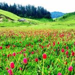 पर्यटन नीति एकातिर, बजेटको बाटो अर्कैतिर