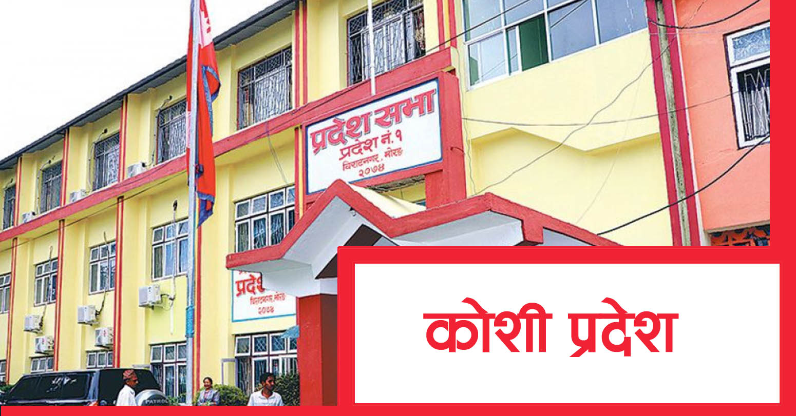 ‘कोशी प्रदेश ऐनलाई संशोधन गर्न बनेको अध्यादेश, २०८२’ सभामा पेस