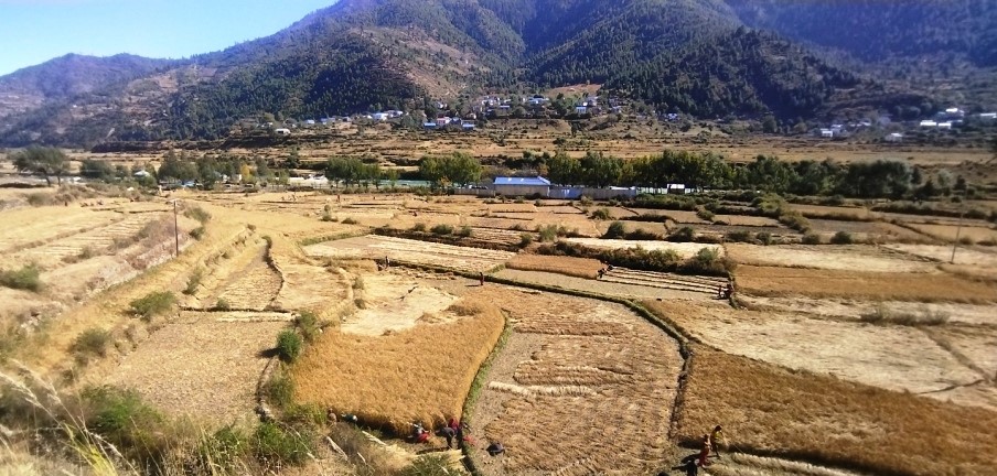 उत्पादन कर्णालीमा, व्यापार काठमाडौँमा