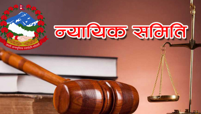 कञ्चनपुरको न्यायिक समितिमा इजलास र जनशक्ति अभाव