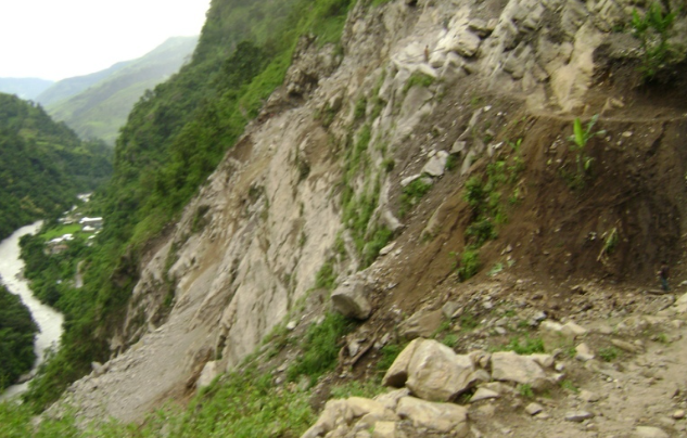 जुम्लामा भालुले लखेट्दा भीरबाट लडेर ७० भेडा मरे