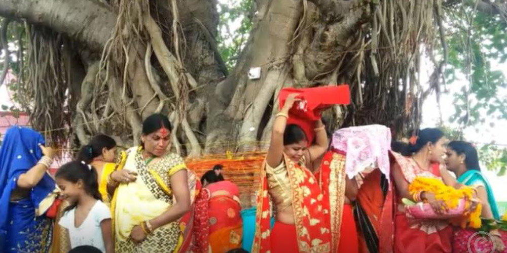 मिथिलाञ्चलमा बिहीबार वटसावित्री पर्व मनाइँदै
