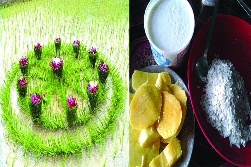 असार १५ दही च्यूरा खाएर मनाइयो