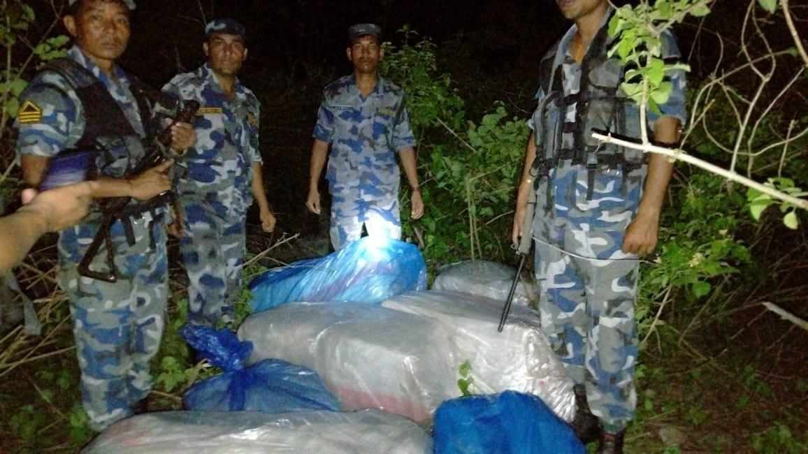 उदयपुरमा तीन सय केजी गाँजा बरामद