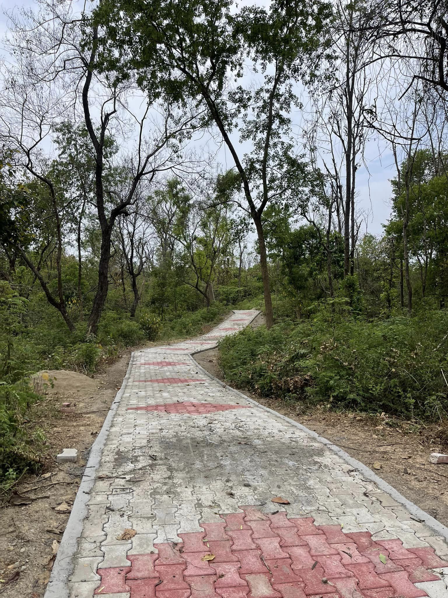 चिडिया तालसम्म पदमार्ग निर्माण
