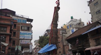 इन्द्रजात्राको साइत : आइतबार इन्द्रध्वजाको लिङ्गो उठाउन रुख काटिने
