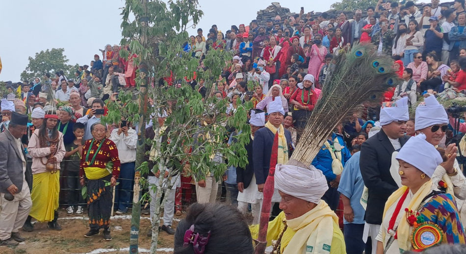 तुवाचुङ-जायाजुममा किरात समुदाय भेला बृहत् साकेला सिली प्रदर्शन