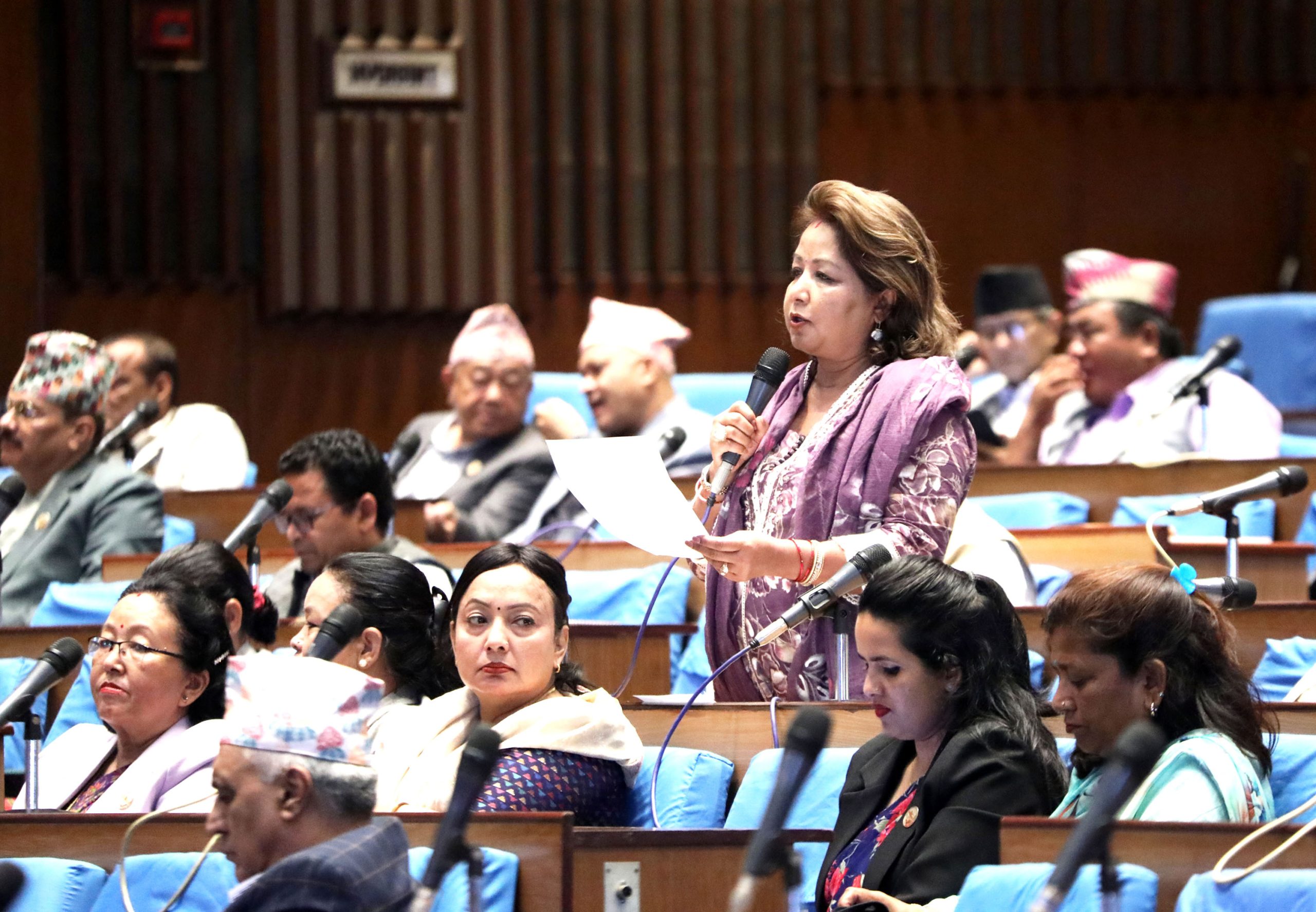 हिमताल फुट्दा ठूलो विपद् आउने भएकाले पूर्वतयारी गर्नुपर्छः सांसद राणा