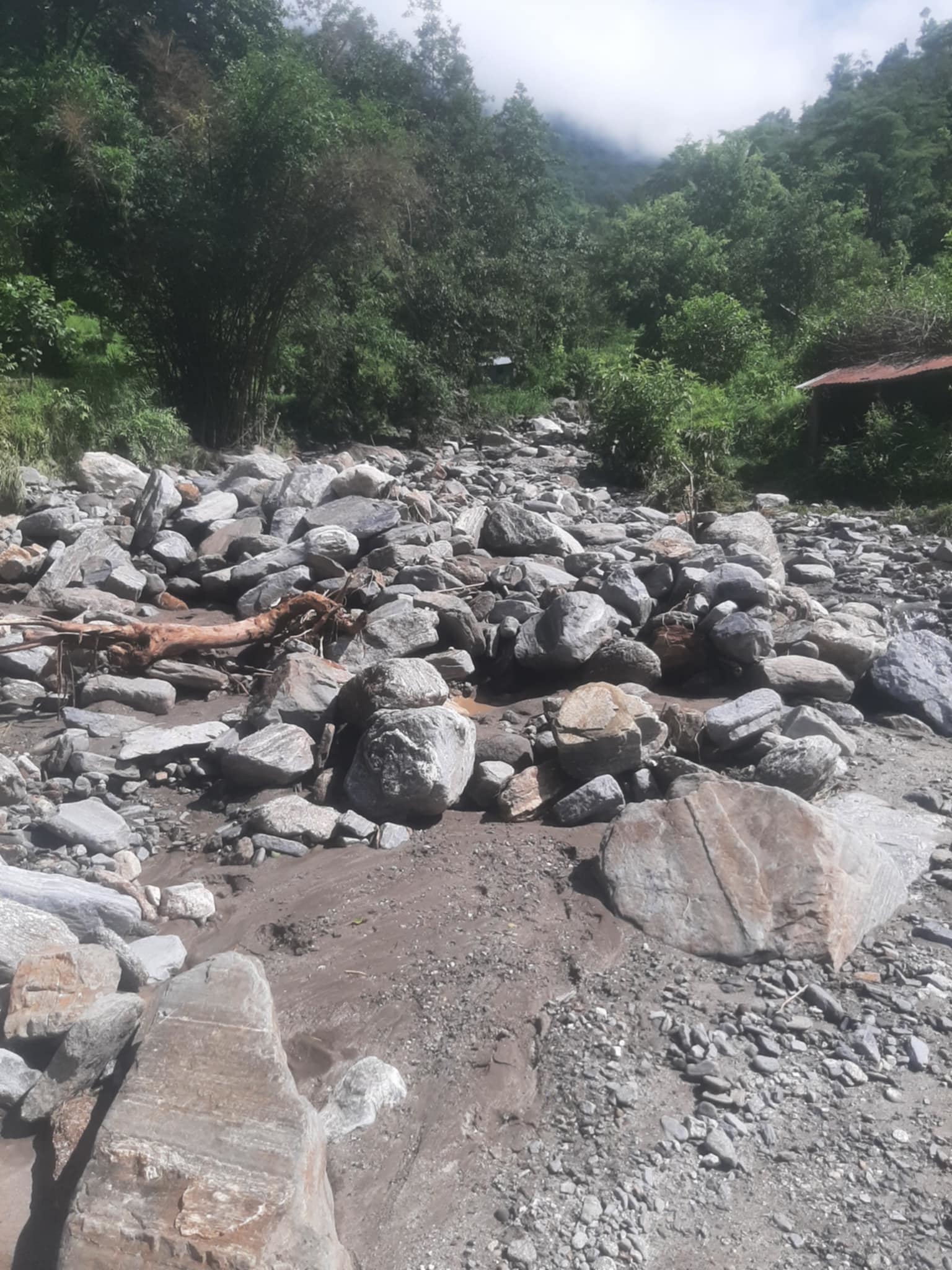 नुवाकोटको भद्रुटारका दर्जनौँ घरपरिवार बाढी र पहिरोको जोखिममा, सयौँ रोपनी धानखेतमा बाढी पस्यो