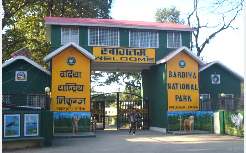 बर्दिया राष्ट्रिय निकुञ्ज घुम्न आउने पर्यटकको संख्यामा बृद्धि