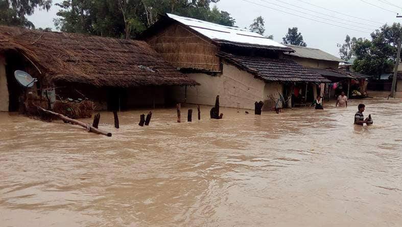 बाढीका कारण भजनी नगरपालिकाका अधिकांश क्षेत्र डुबानमा,अन्नपात जोगाउन कठिन