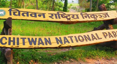 वन्यजन्तु पीडितलाई चितवन निकुञ्जबाट  १ करोड २९ लाख राहत