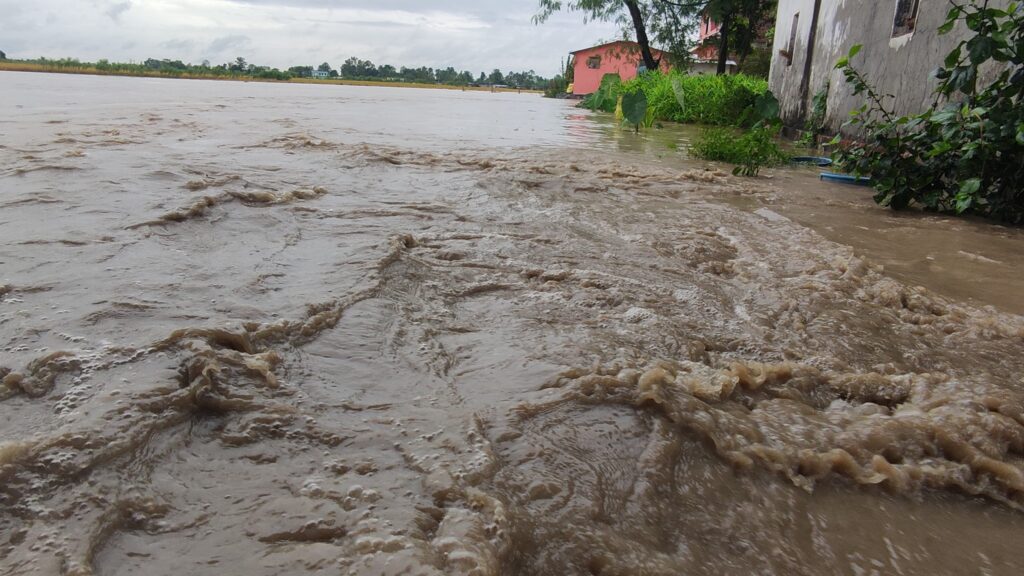 बाढीका कारण कञ्चनपुरमा एक हजार ६ सय २२ जना प्रभावित