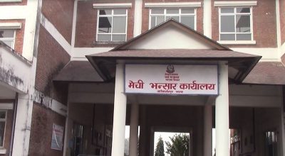 मेची भन्सार कार्यालयबाट १० महिनामा  चिया निर्यात ४६ प्रतिशतले वृद्धि