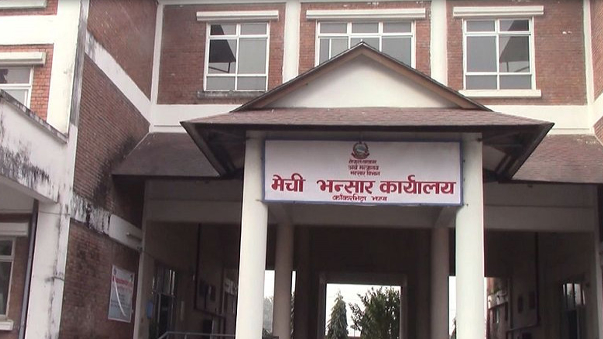 मेची भन्सार कार्यालयबाट १० महिनामा  चिया निर्यात ४६ प्रतिशतले वृद्धि