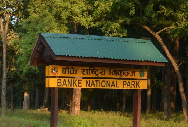 बाँके निकुञ्जमा पर्यटकको सङ्ख्या वृद्धि