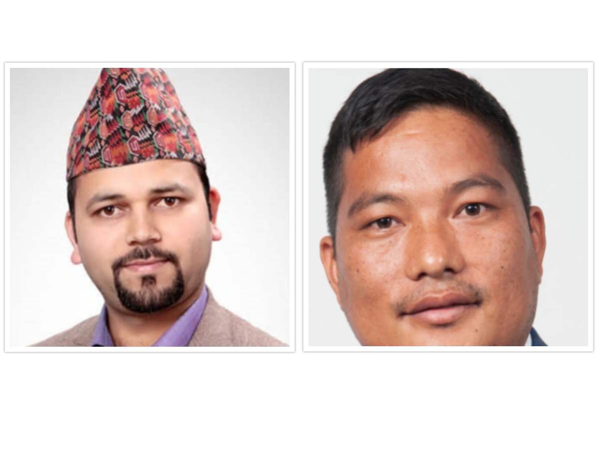 विद्युत प्राधिकरण संचालक समितिका सदस्यद्वय पुन र आचार्य पदमुक्त