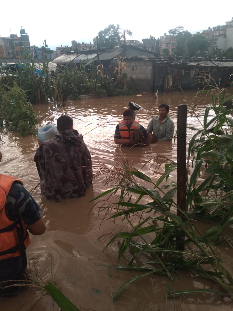 अबिरल वर्षाले काठमाडौँ उपत्यकाका नदी तथा खोलामा बहाव बढ्यो, सतर्कता अपनाउन आग्रह