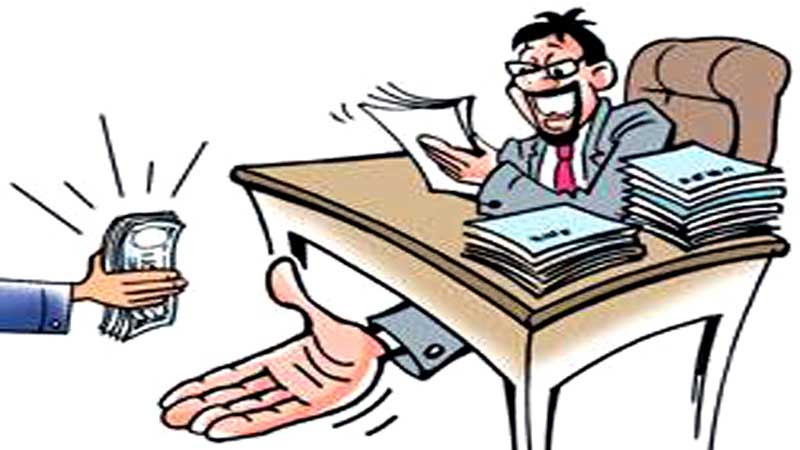 तीन लाख घुस रकमसहित वडाध्यक्ष पक्राउ