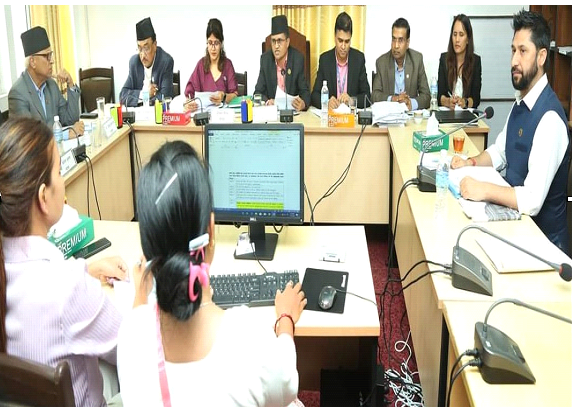रवि लामिछानेसहित गोरखा मिडिया नेटवर्क प्रालिका पूर्व पदाधिकारीसँग सोधपुछ