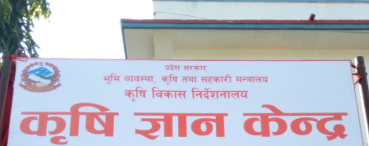 सिङ्गो कार्यालय एउटै कोठामा, बजेट तीन वर्षदेखि फ्रिज