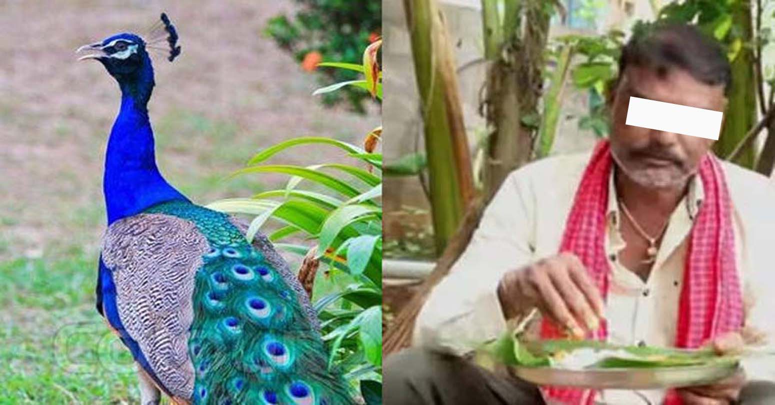 मयूर करीको भिडियोपछि भारतीय युट्युबर पक्राउ