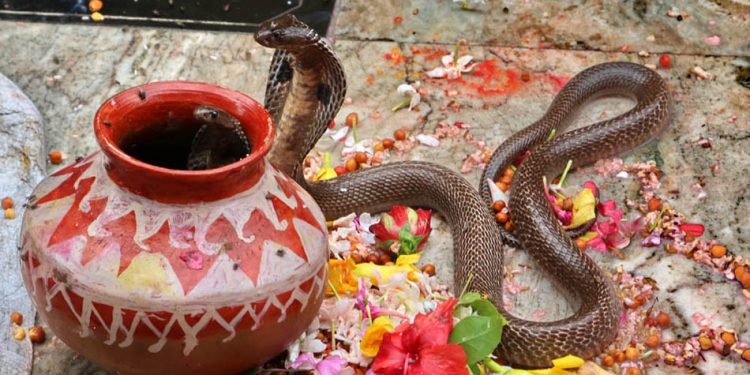 आज नागपञ्चमी, घरका मूलढोकामा नागको तस्वीर टाँसी पूजार्चना गरी मनाइँदै