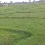 जेठमा घर जग्गा कारोबारबाट पाँच अर्ब २४ करोड राजस्व सङ्कलन
