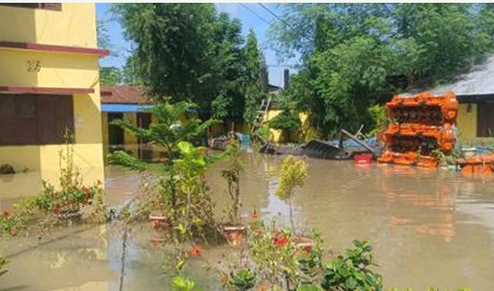 वर्षाका कारण सप्तरीको कञ्चनरुप क्षेत्रका एक हजार घर डुबानमा