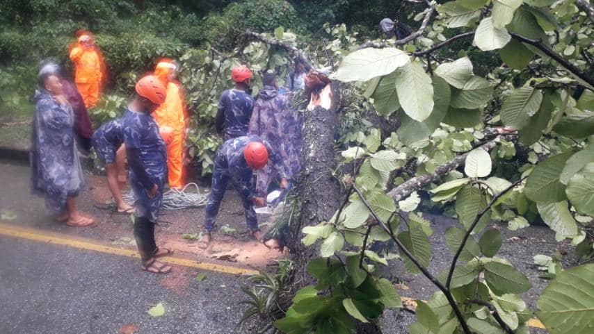 रुख ढल्दा नारायणगढ–मुग्लिन सडक अवरुद्ध