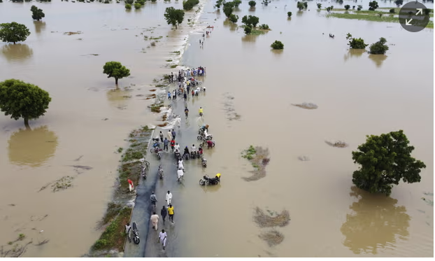 क्यामरुनले बाँध खोलेपछि नाइजेरियाद्वारा बाढीको चेतावनी