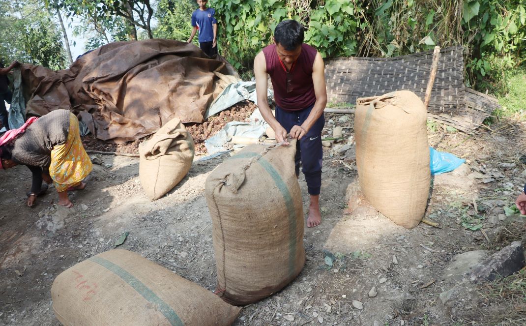 मेची भन्सार कार्यालयबाट चिया निर्यात बढ्यो, अलैँची घट्यो